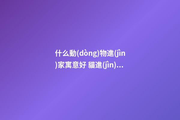 什么動(dòng)物進(jìn)家寓意好 貓進(jìn)家門會(huì)破財(cái)嗎